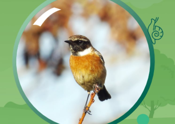 Exposition : « Nos chemins se rencontrèrent… »