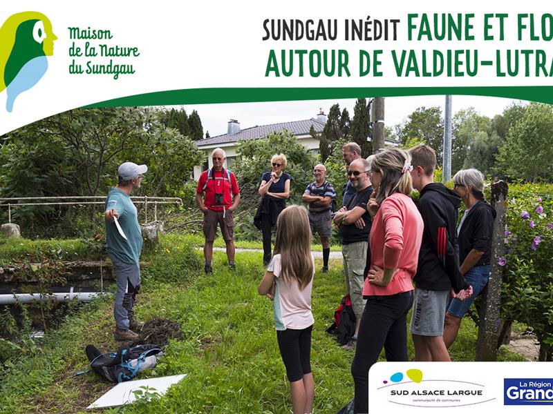 Faune et flore autour de Valdieu-Lutran