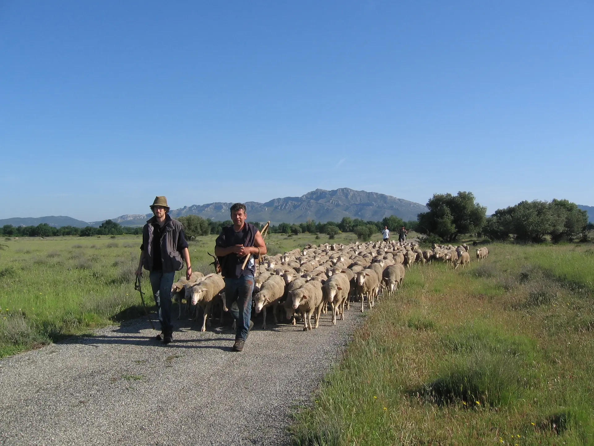 Fête de la transhumance