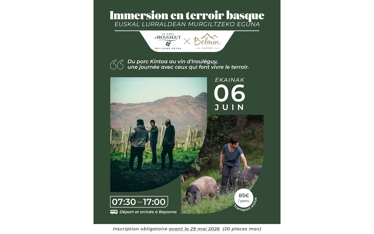 Immersion en terroir basque : Belaun et Cave d'Irouléguy