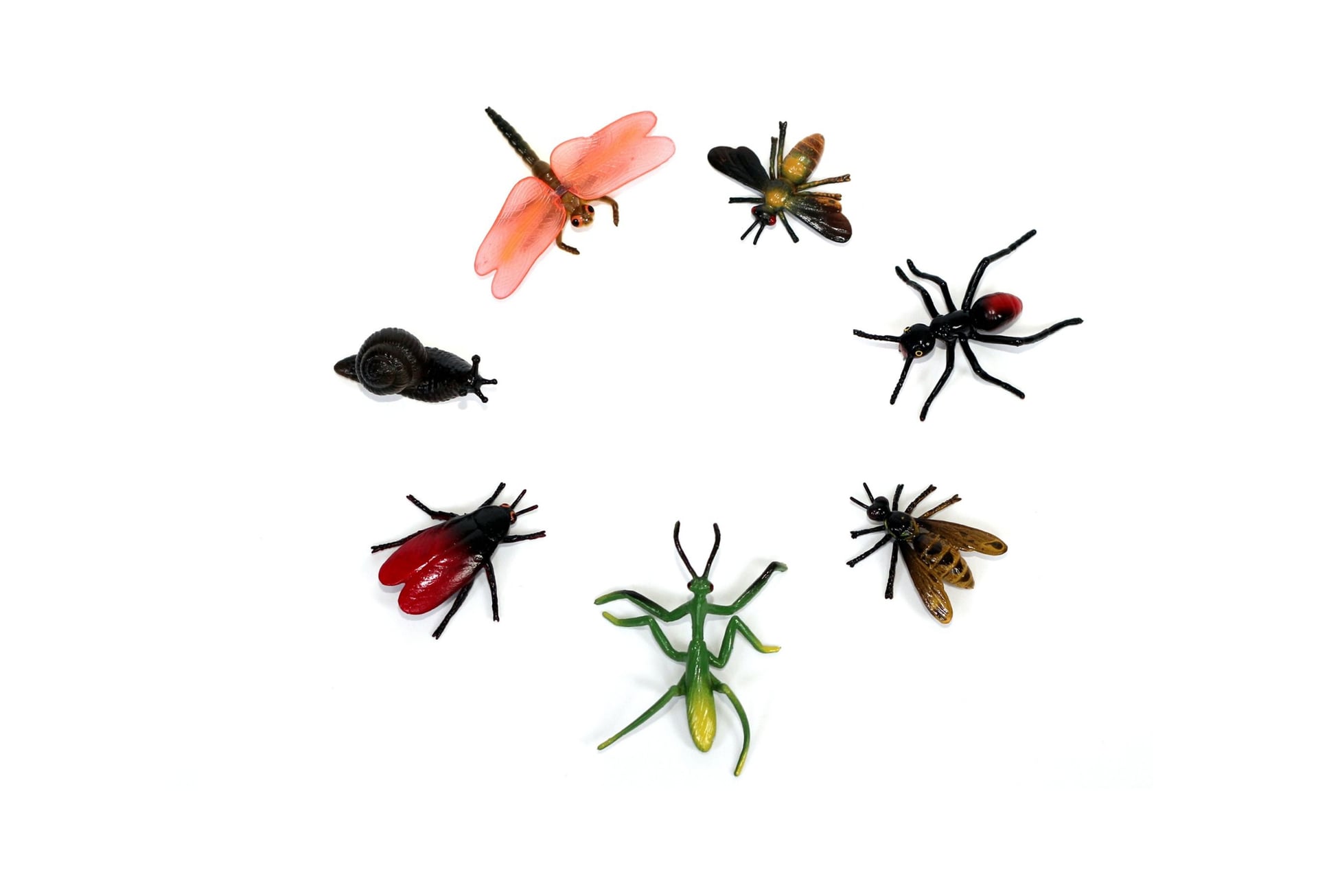 Atelier : Fabrication d’insecte