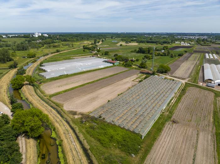 Visite d'exploitation le jardin de Quentin (maraîcher)