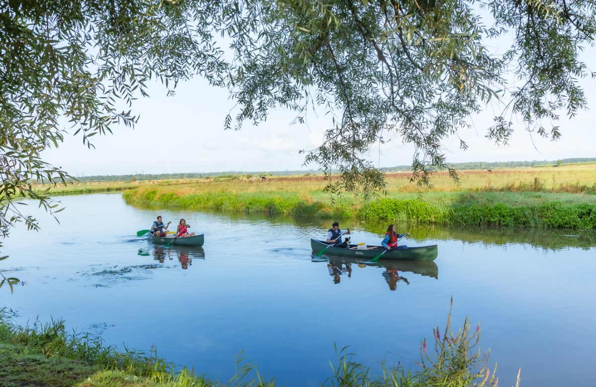 Balade guidée en Canoë 3h30
