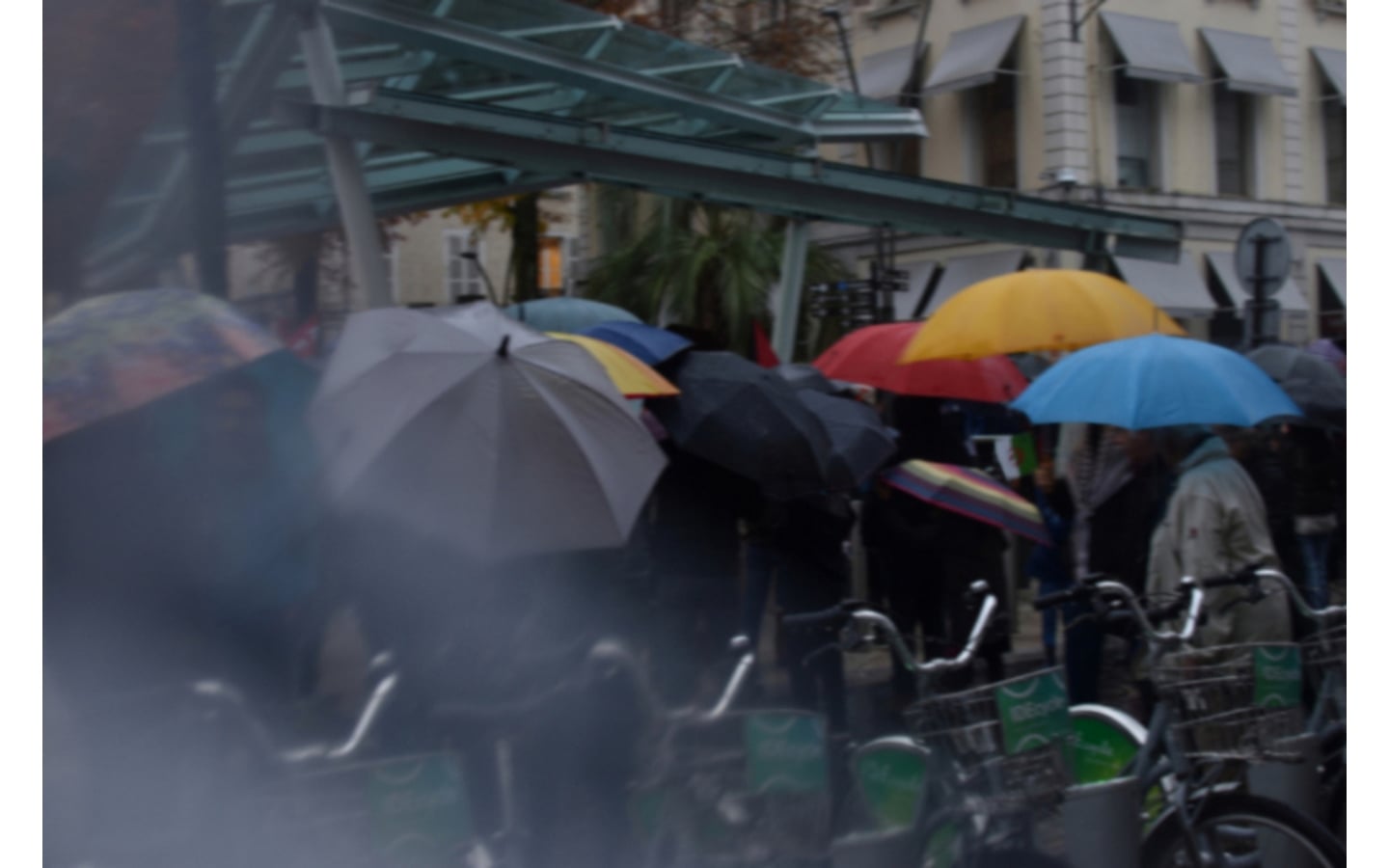 Une photographe fait le trottoir