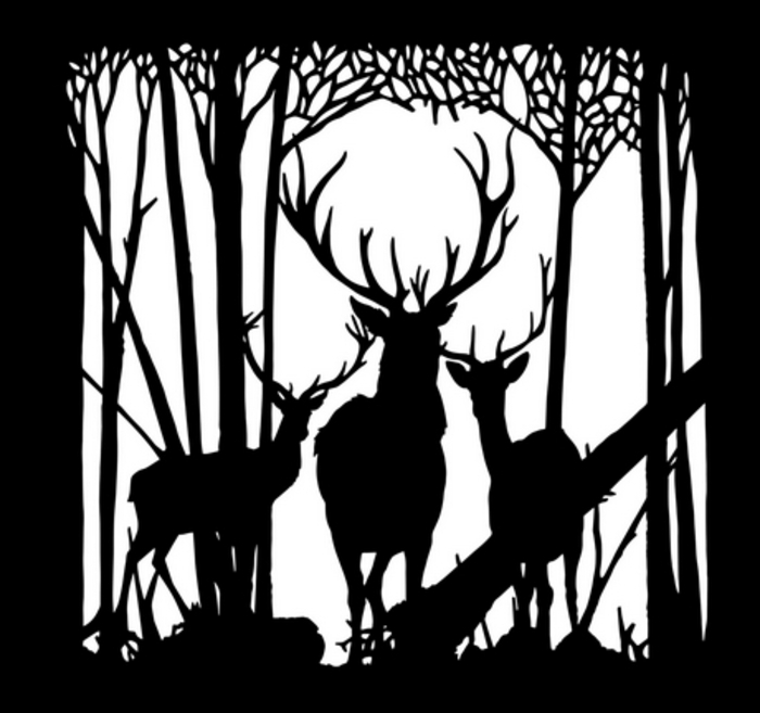 Panorama de l'ombre à la lumière, une exposition d'Antoine Guilloppé