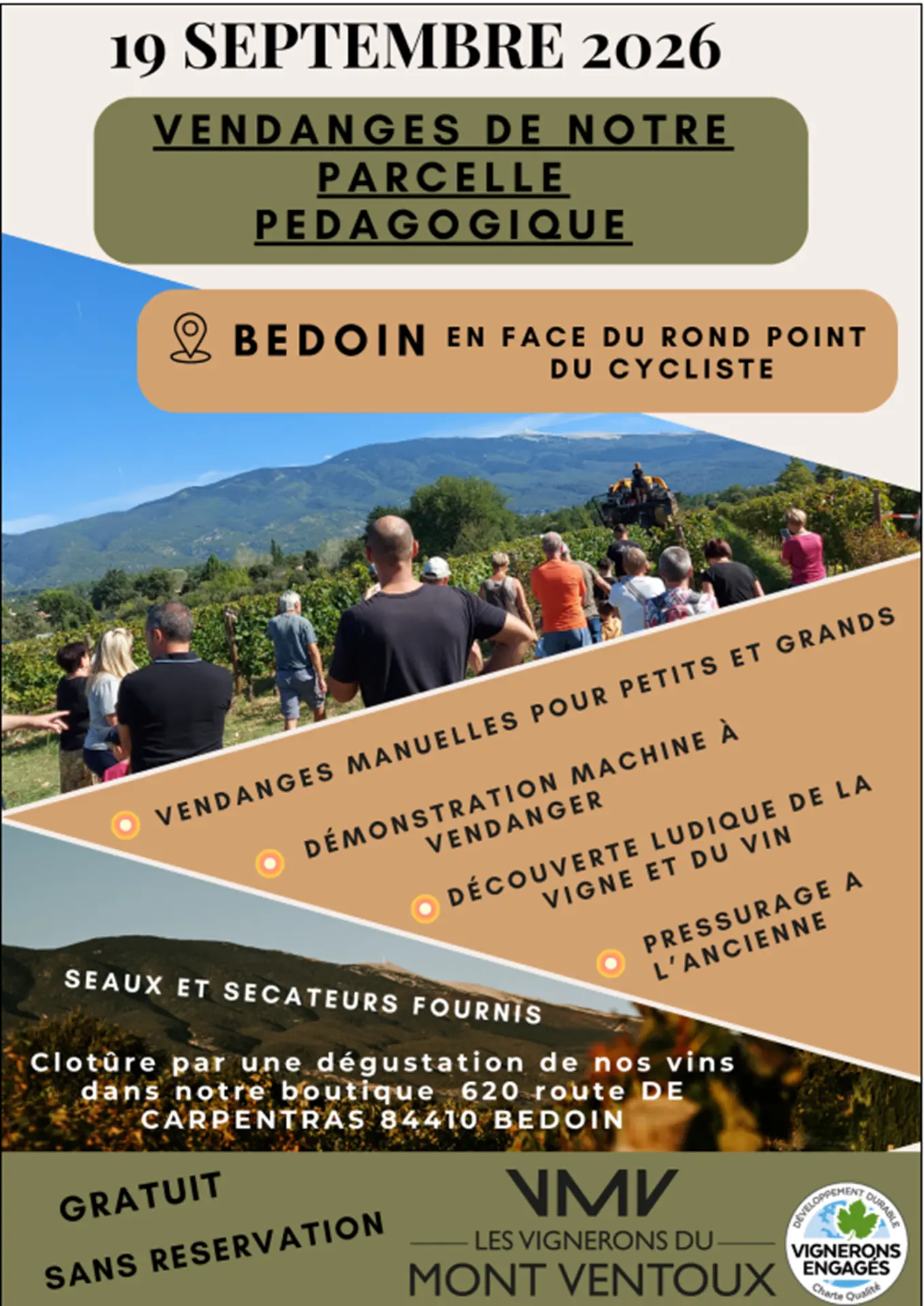 Vendanges de notre parcelle pédagogique