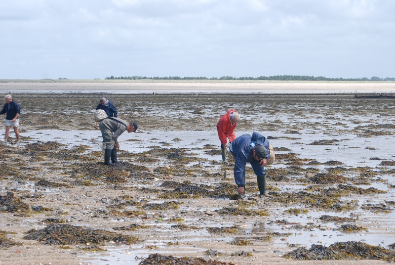 Initiation pêche aux praires