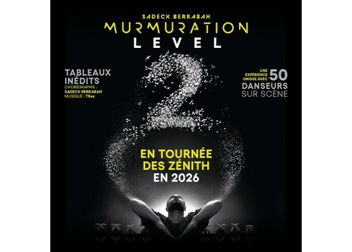 Murmuration - Level 2 - de Sadeck Berrabah