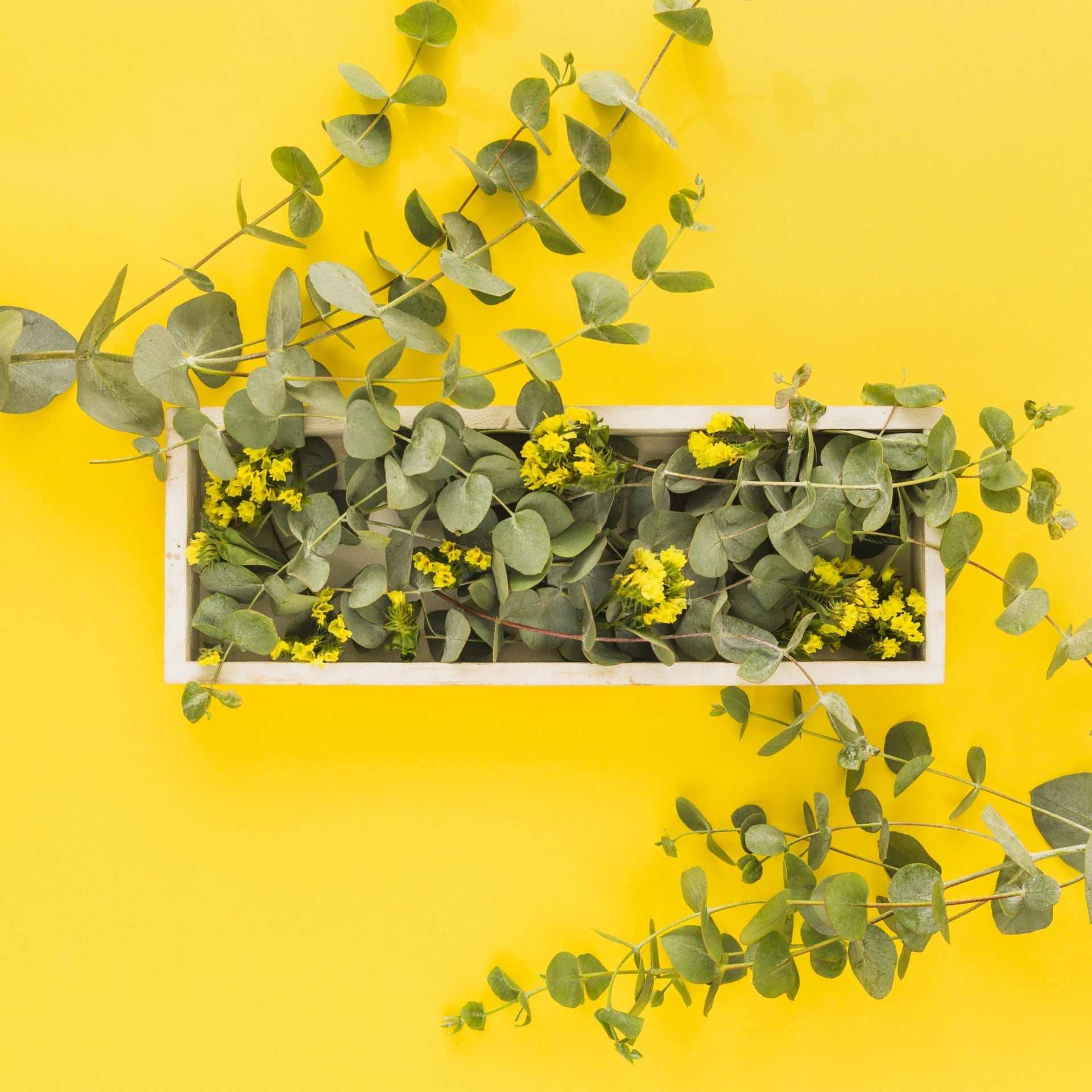 L'été de l'Office : Composition de plantes avec création de support