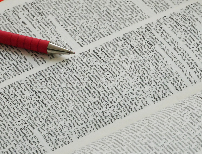 Stage adultes de français / Remise à niveau en orthographe et grammaire