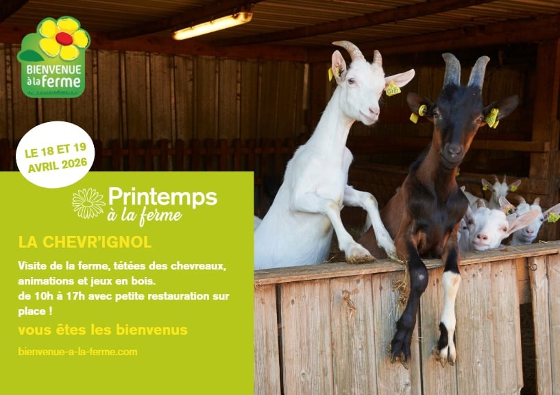 Printemps à la ferme : La Chèvr'Ignol