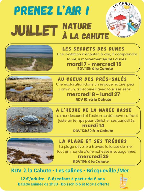 Les secrets des dunes