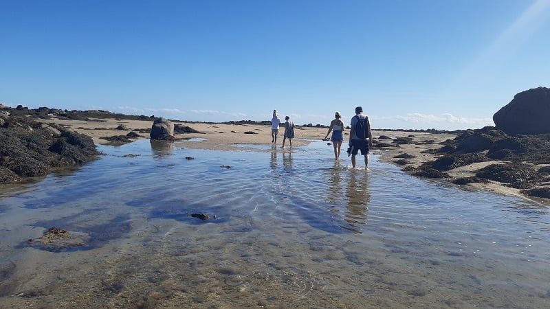 Chausey : Grandes Marées, histoire et découverte de l'estran