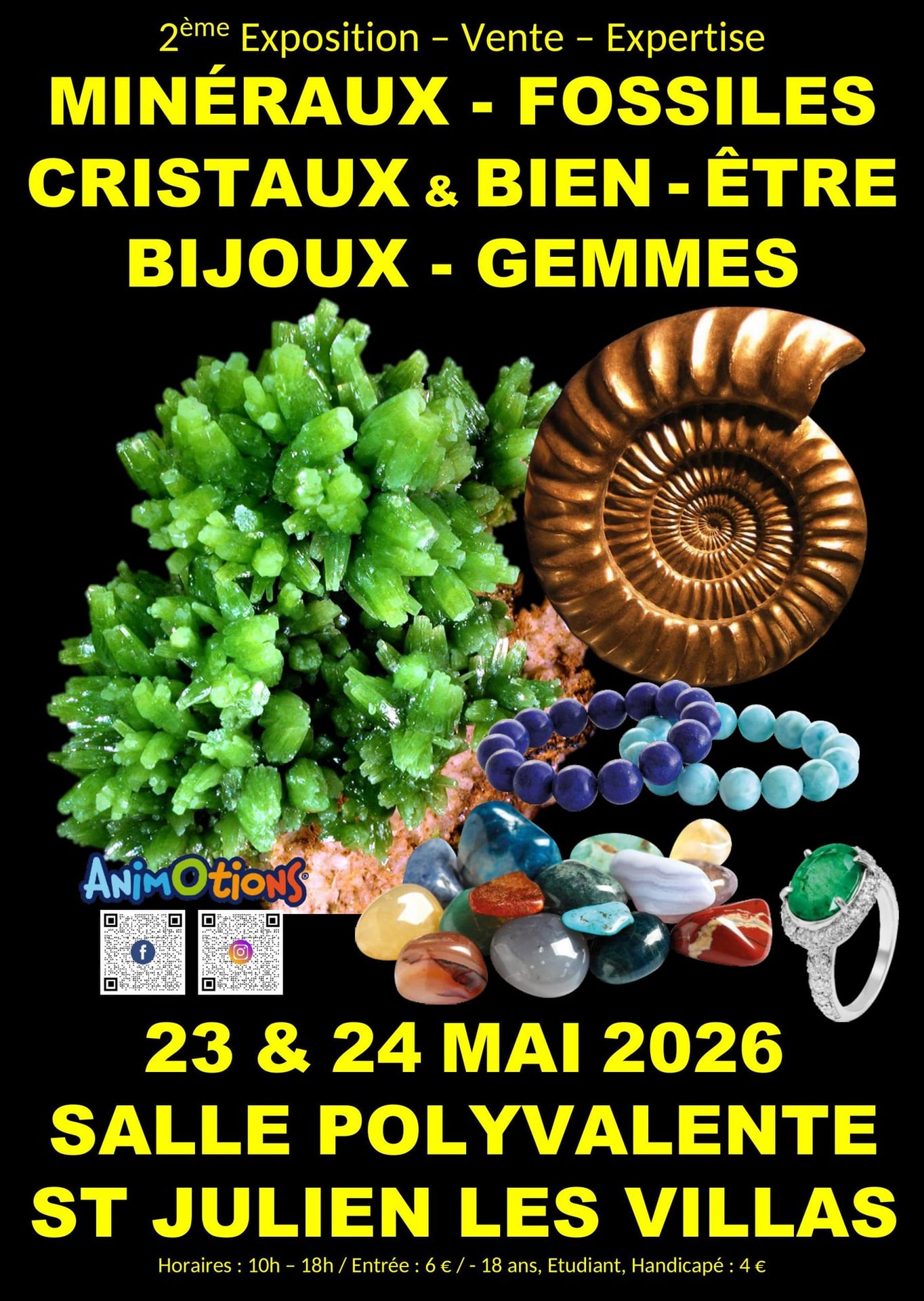 2ème Salon Minéraux Fossiles Cristaux &amp; Bien-Être Bijoux et Gemmes de Troyes