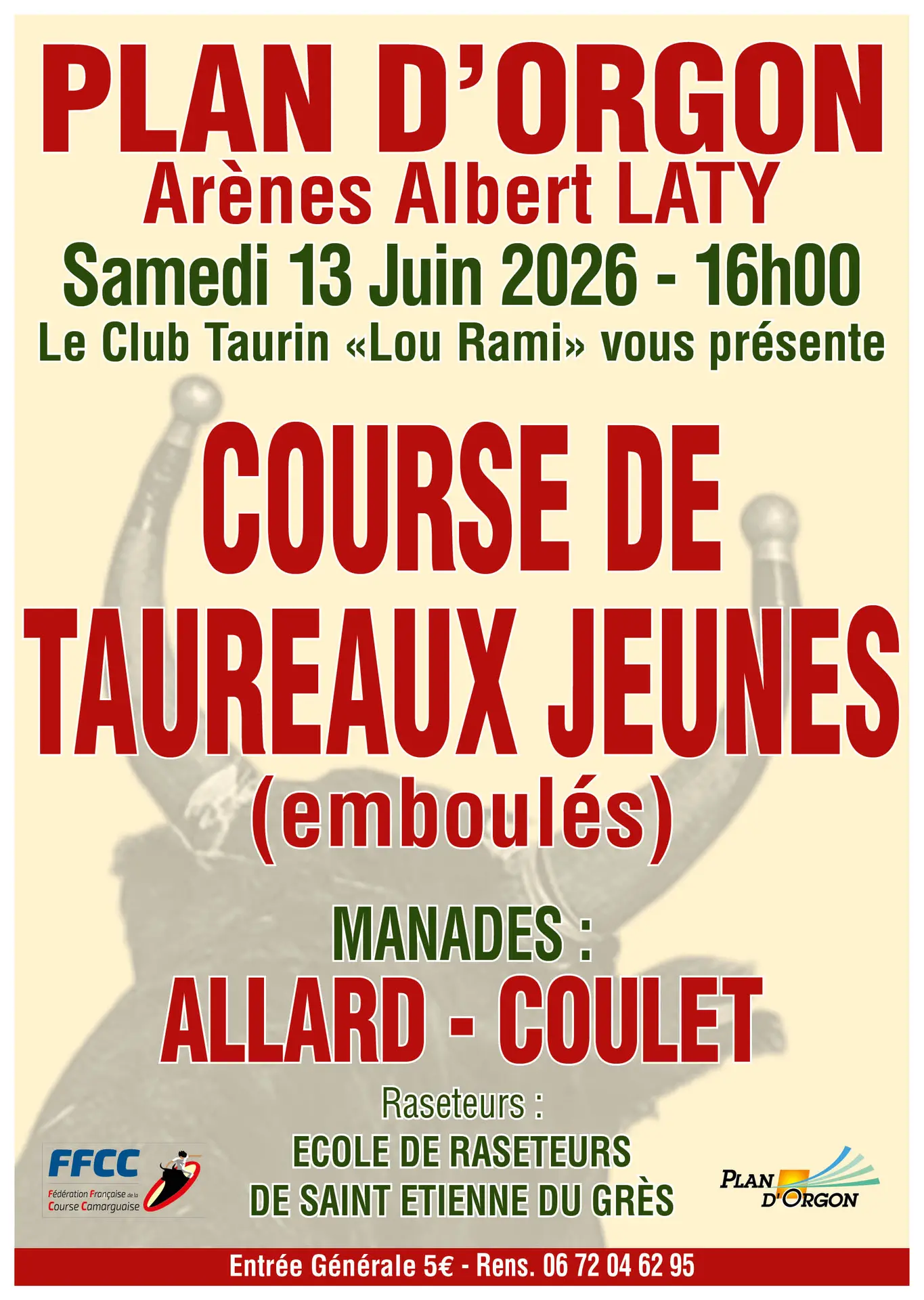 Course de taureaux jeunes