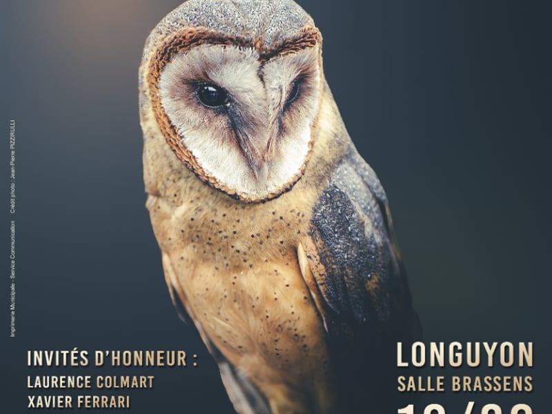 Salon de la photographie "Mille et un regards"