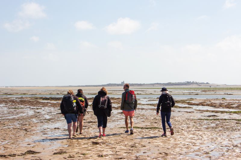 Traversée à pied et visite commentée de l'île Tatihou