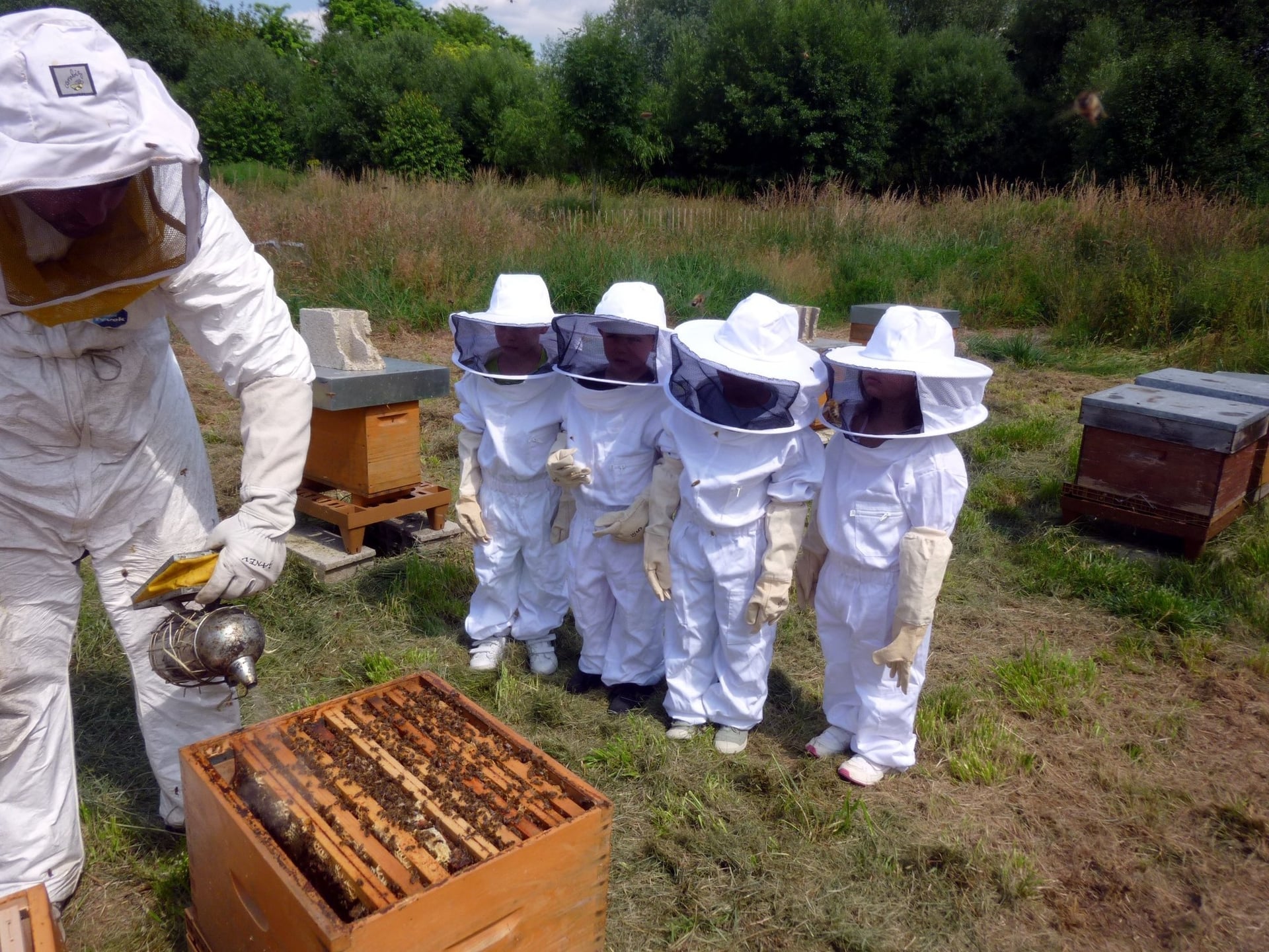 Atelier famille "Apiculture"