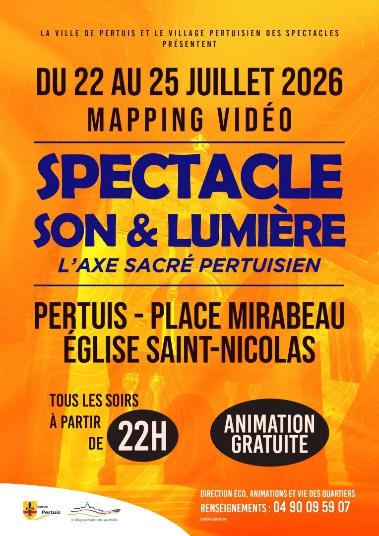 Mapping vidéo 2026