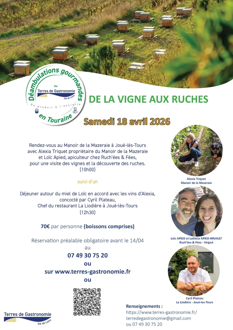 Déambulations gourmandes : de la vigne aux ruches