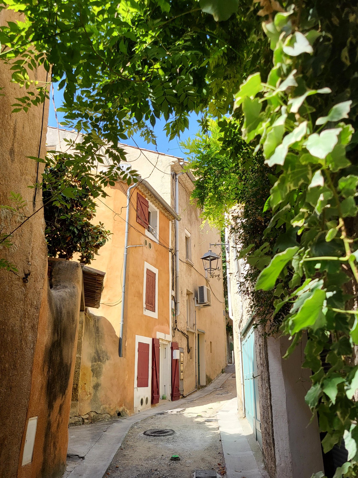 Les Lambesc'apades : Les végétaux ornementaux de Lambesc !