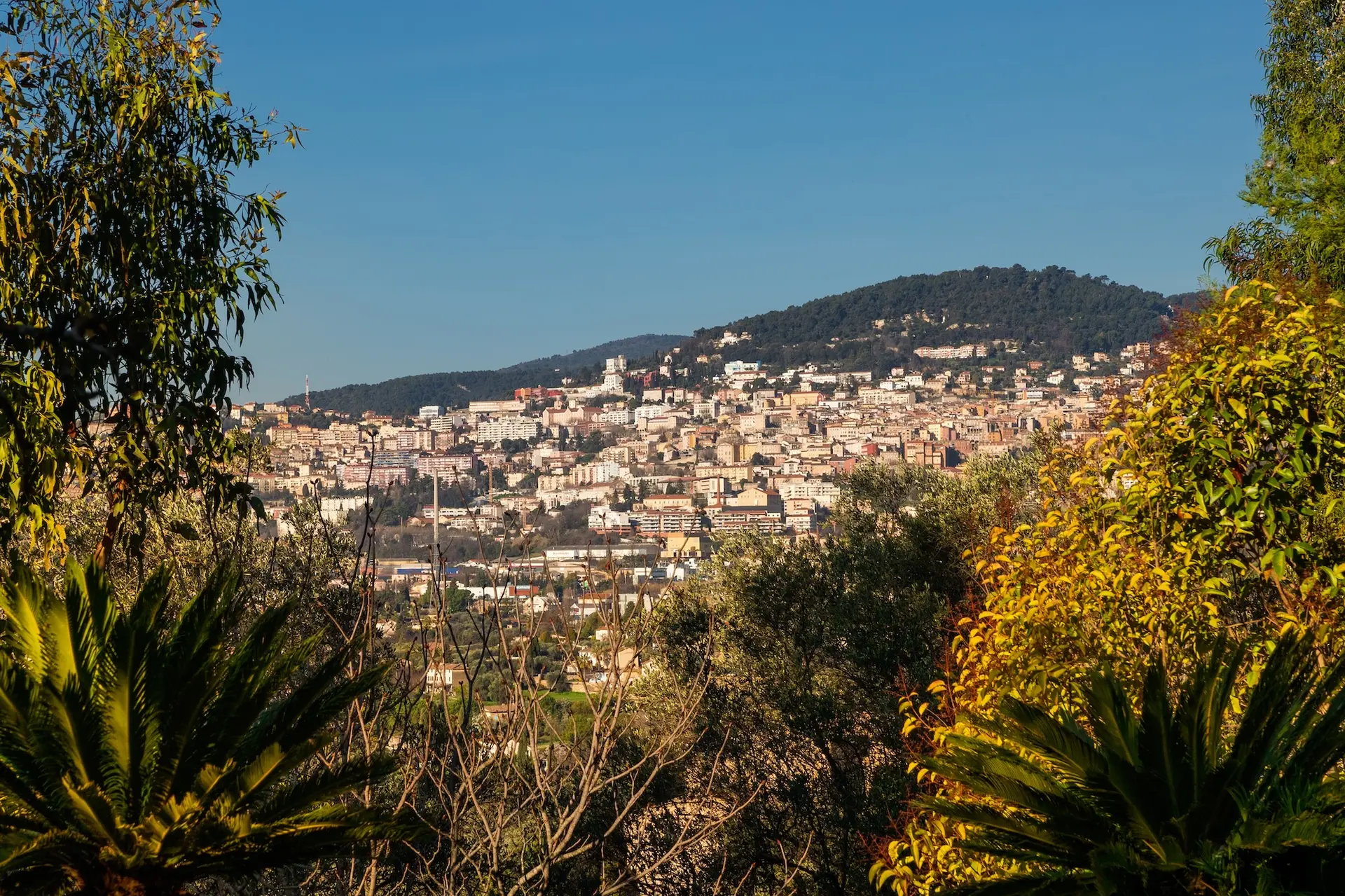 Dévalons le Rossignol - Grasse Ville d'Art et d'Histoire