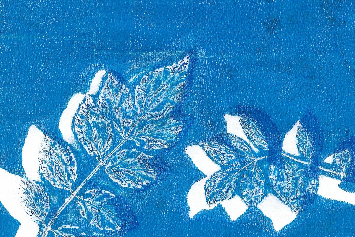 Atelier pour artistes en herbe | Cyanotype avec l'artiste Mélissa Boucher Morales