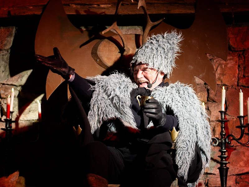 Spectacle déambulatoire de Noël : Le souffle des étoiles