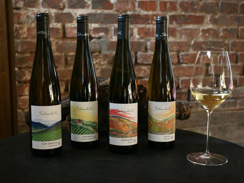 Vignoble en scène : "Crémant & art" au Domaine Schoenheitz
