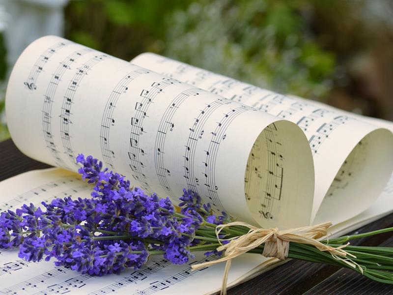 Concert - Pluricanto