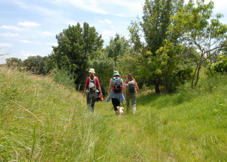 Randonnée nocturne de Toussaint