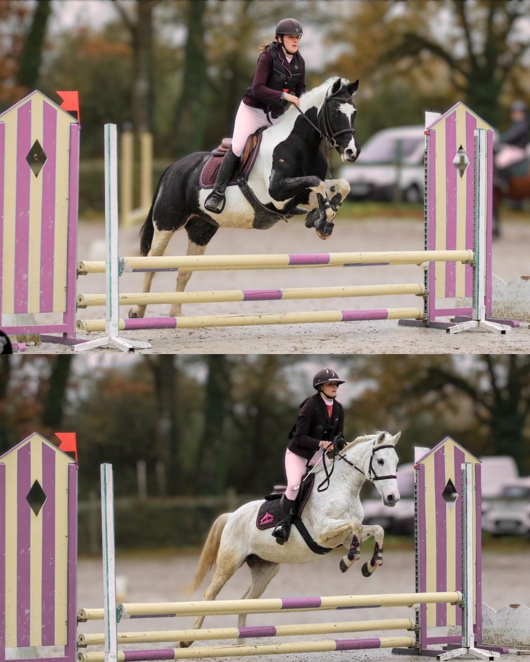 CONCOURS EQUITATION CSO ET DRESSAGE