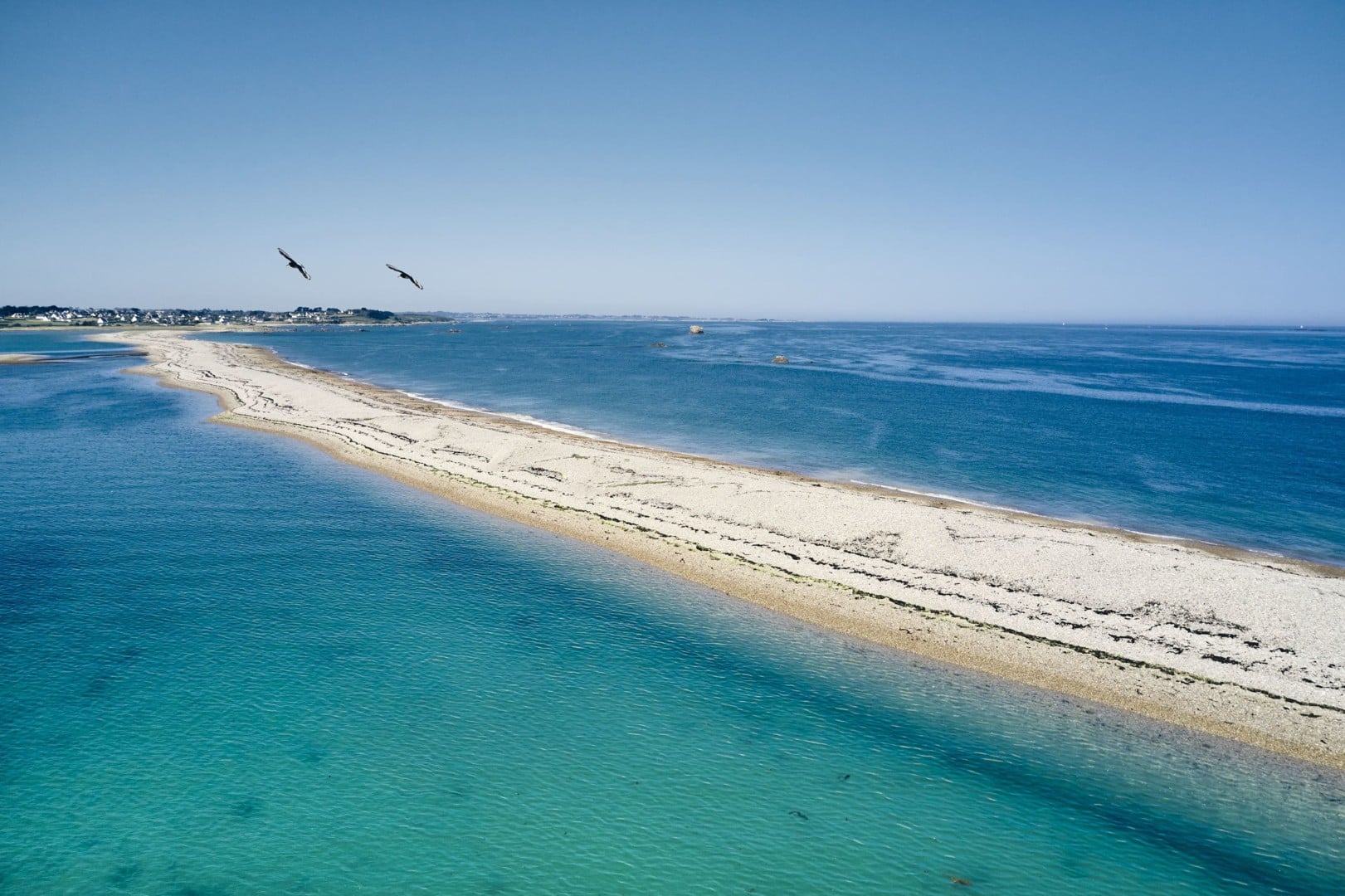 Observations naturalistes avec un agent de la Réserve naturelle