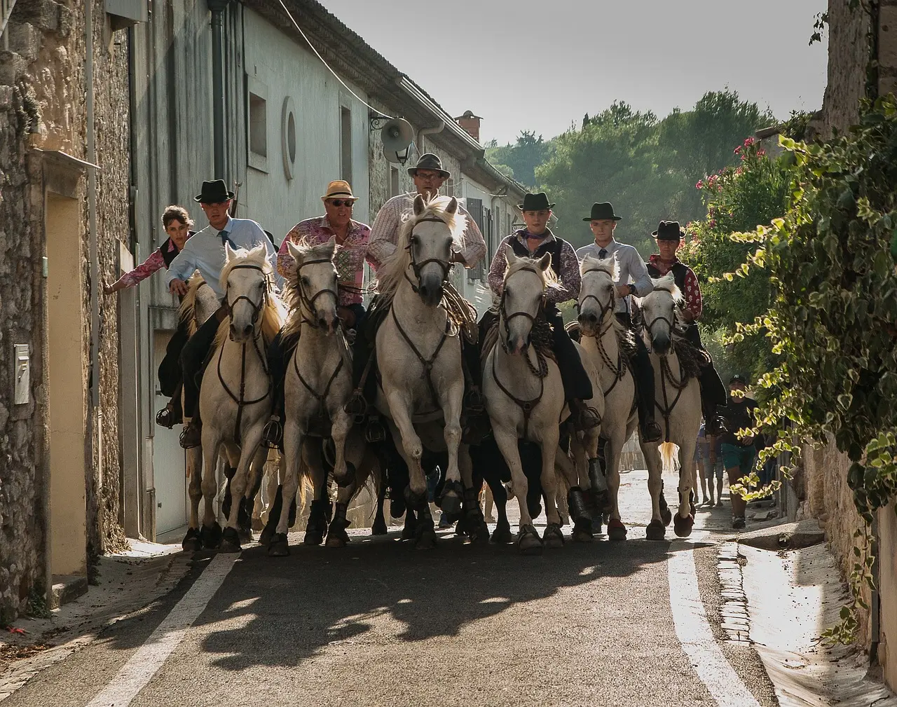 Fêtes de la Saint-Pierre : Abrivado