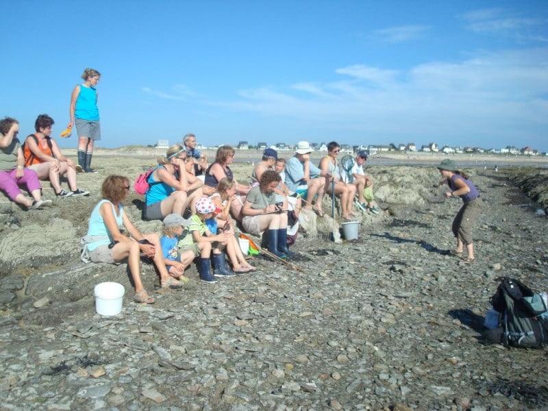 Sortie nature Coquillages et crustacés