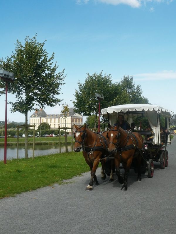 Les balades en calèche de l'été