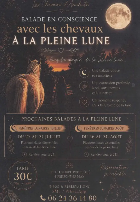 Balade en conscience avec les chevaux à la pleine lune
