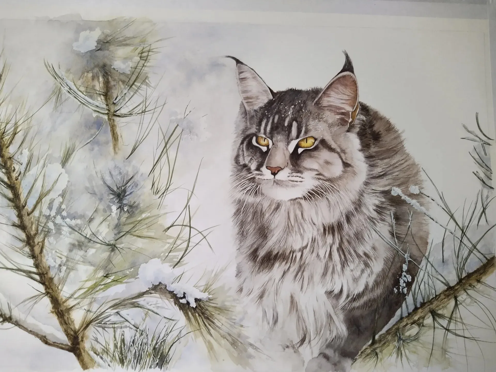 Exposition d’aquarelles