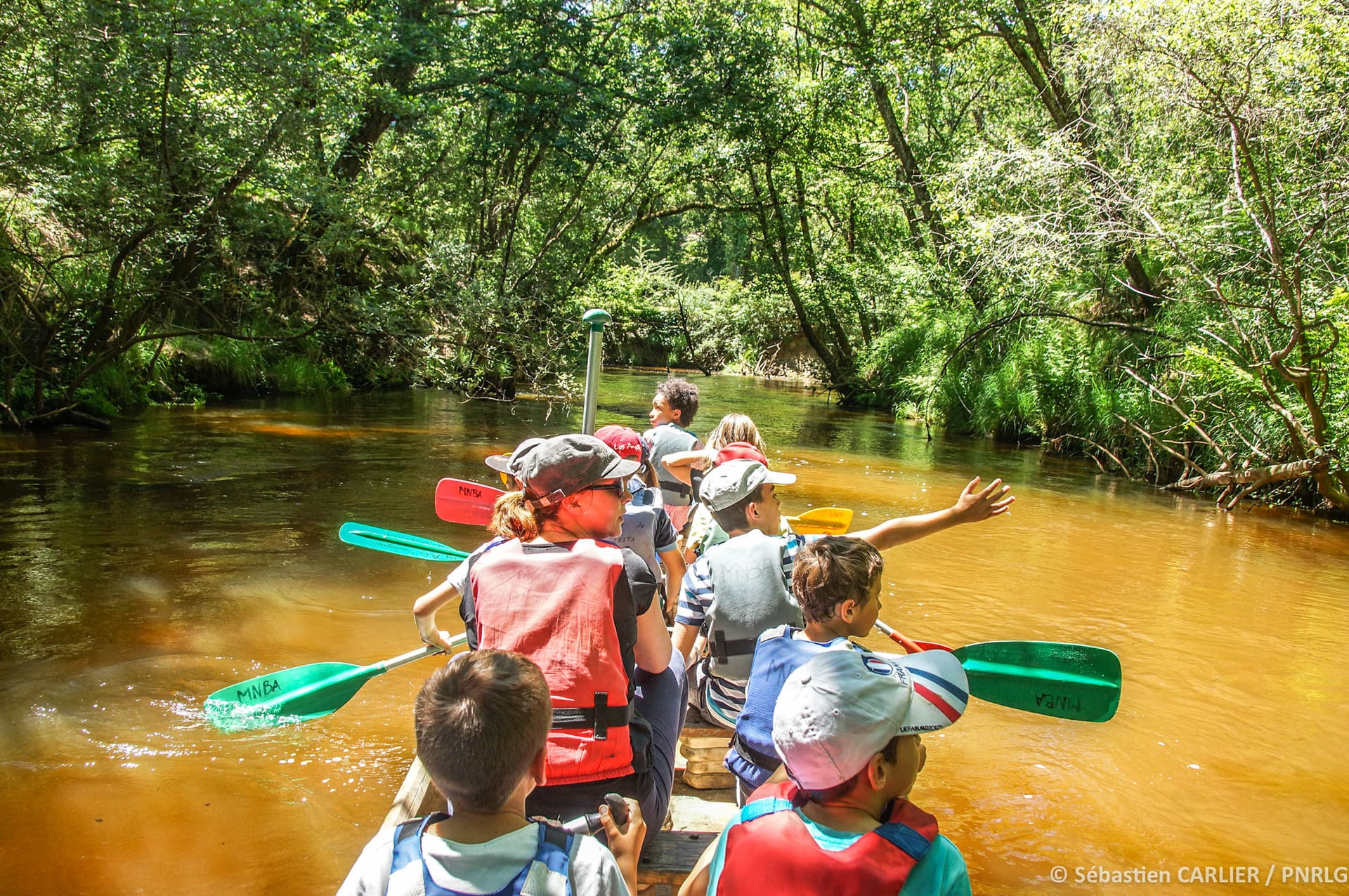Balade contée en canoë collectif - Thématique Bernache