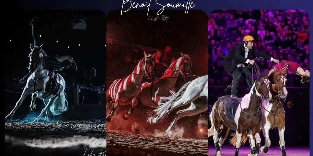 Spectacle équestre aux Arènes