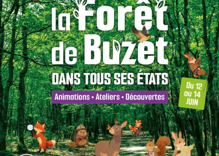 LA FORET DE BUZET DANS TOUS SES ETATS