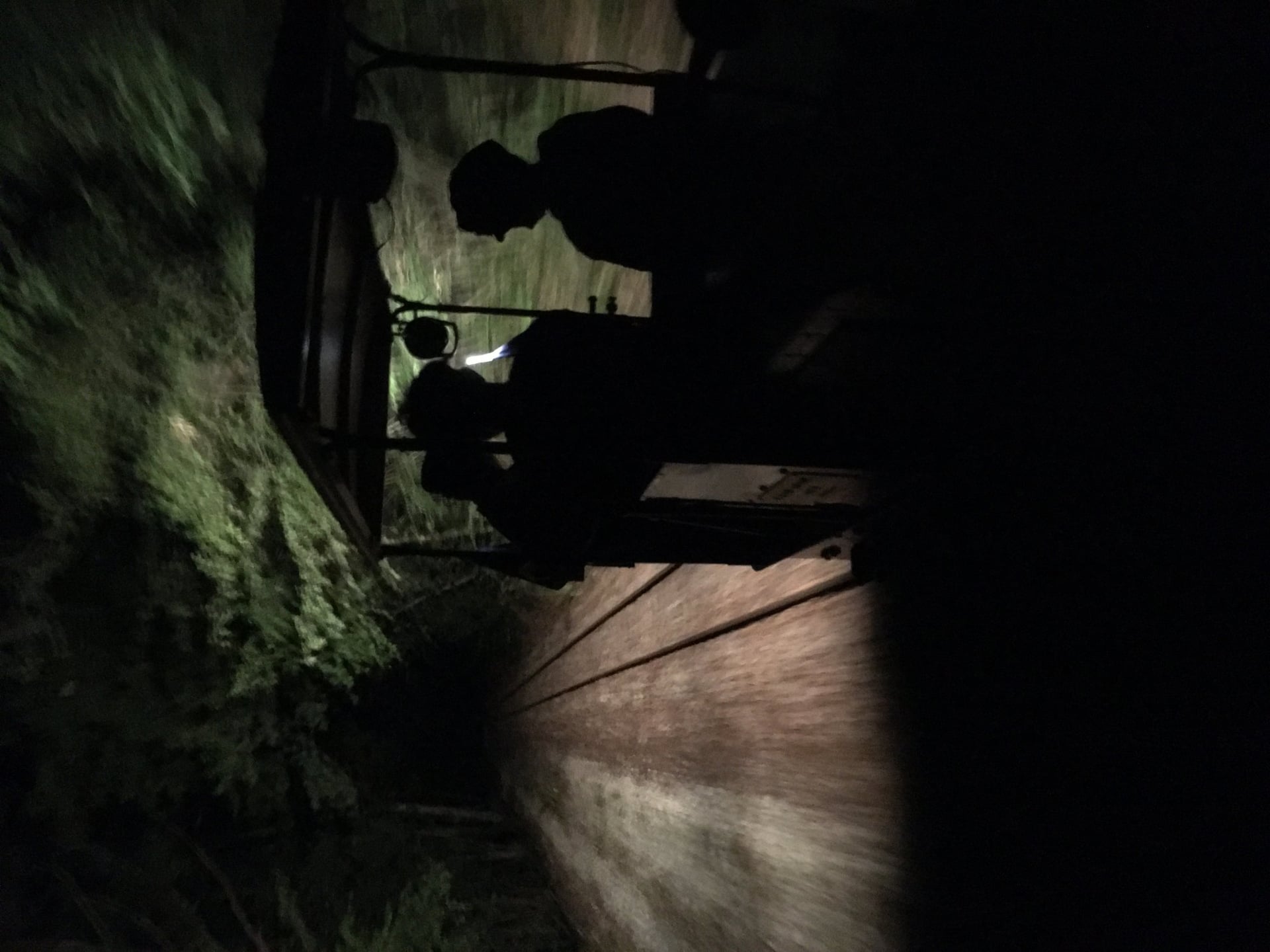 Train spectacle du crépuscule