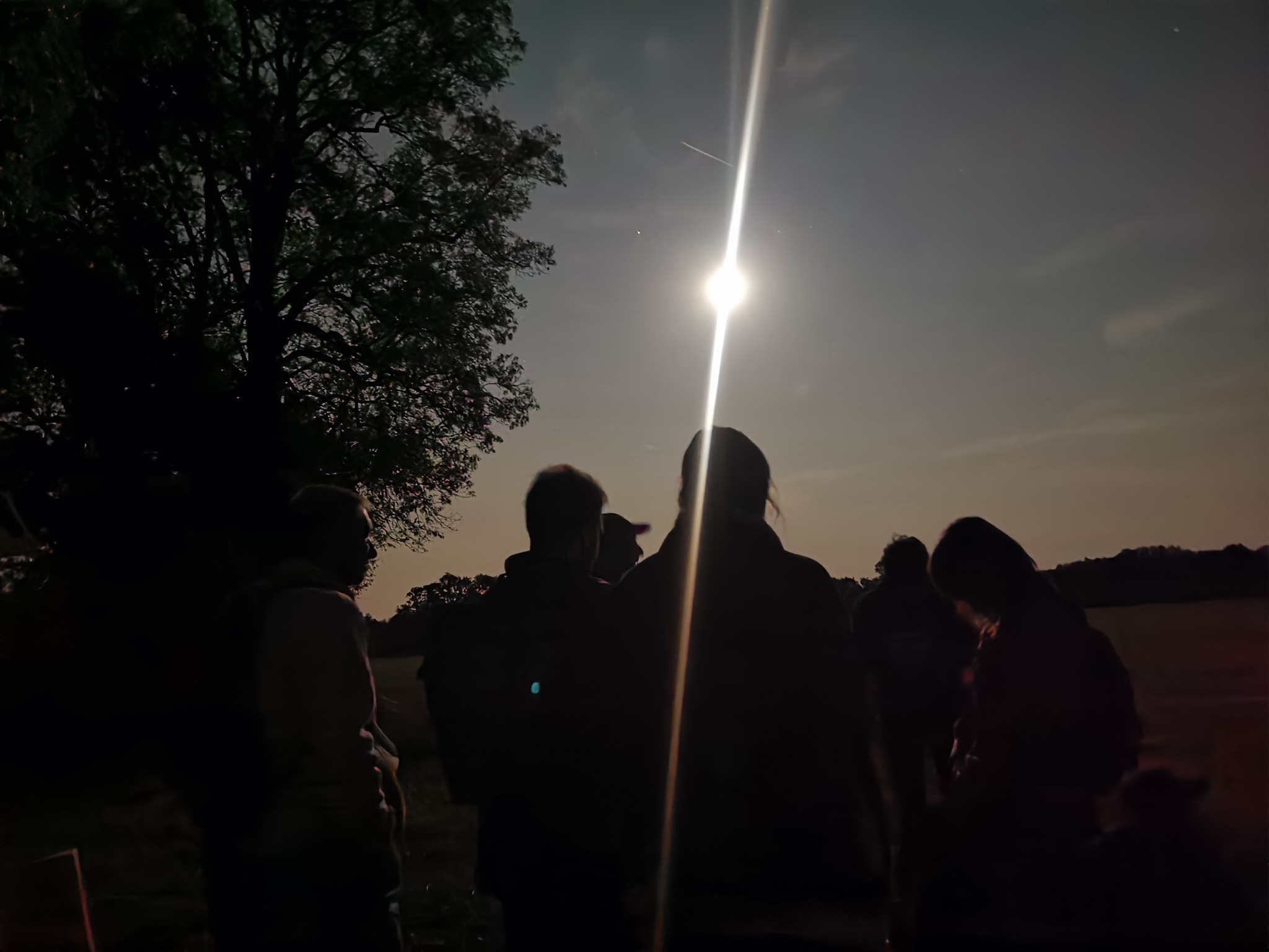 Balade au crépuscule