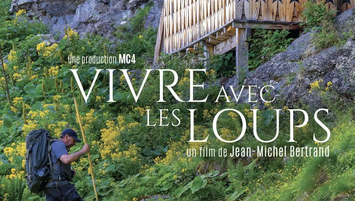 PENSER COMME UNE MONTAGNE: Film et conférence  "Vivre avec les loups"  de Jean-Michel Bertrand avec  Thierry Maillet