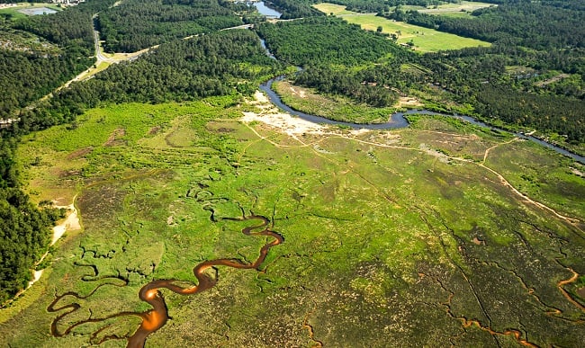 Balade contée dans les prés salés