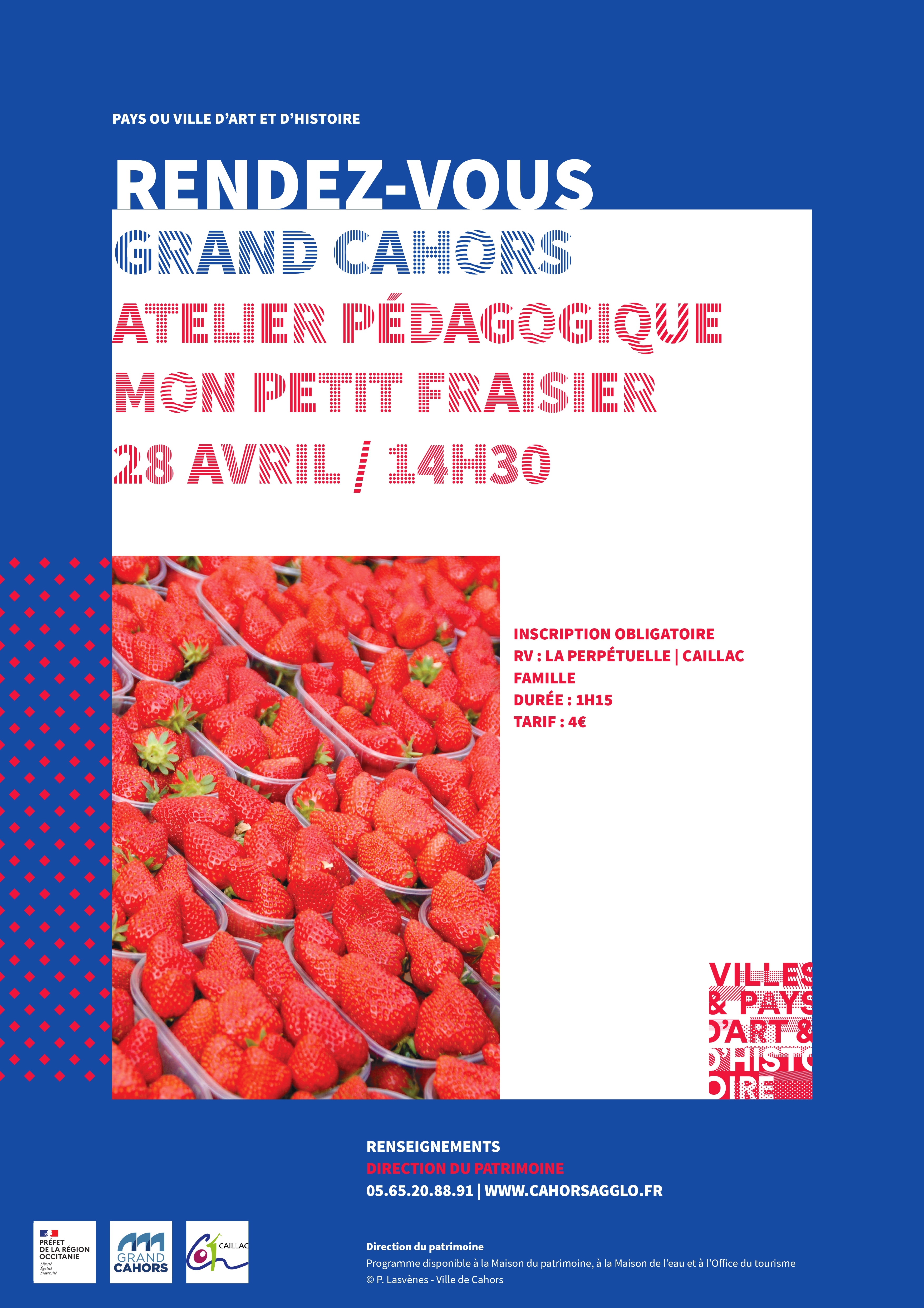 Animation pédagogique : Mon petit fraisier