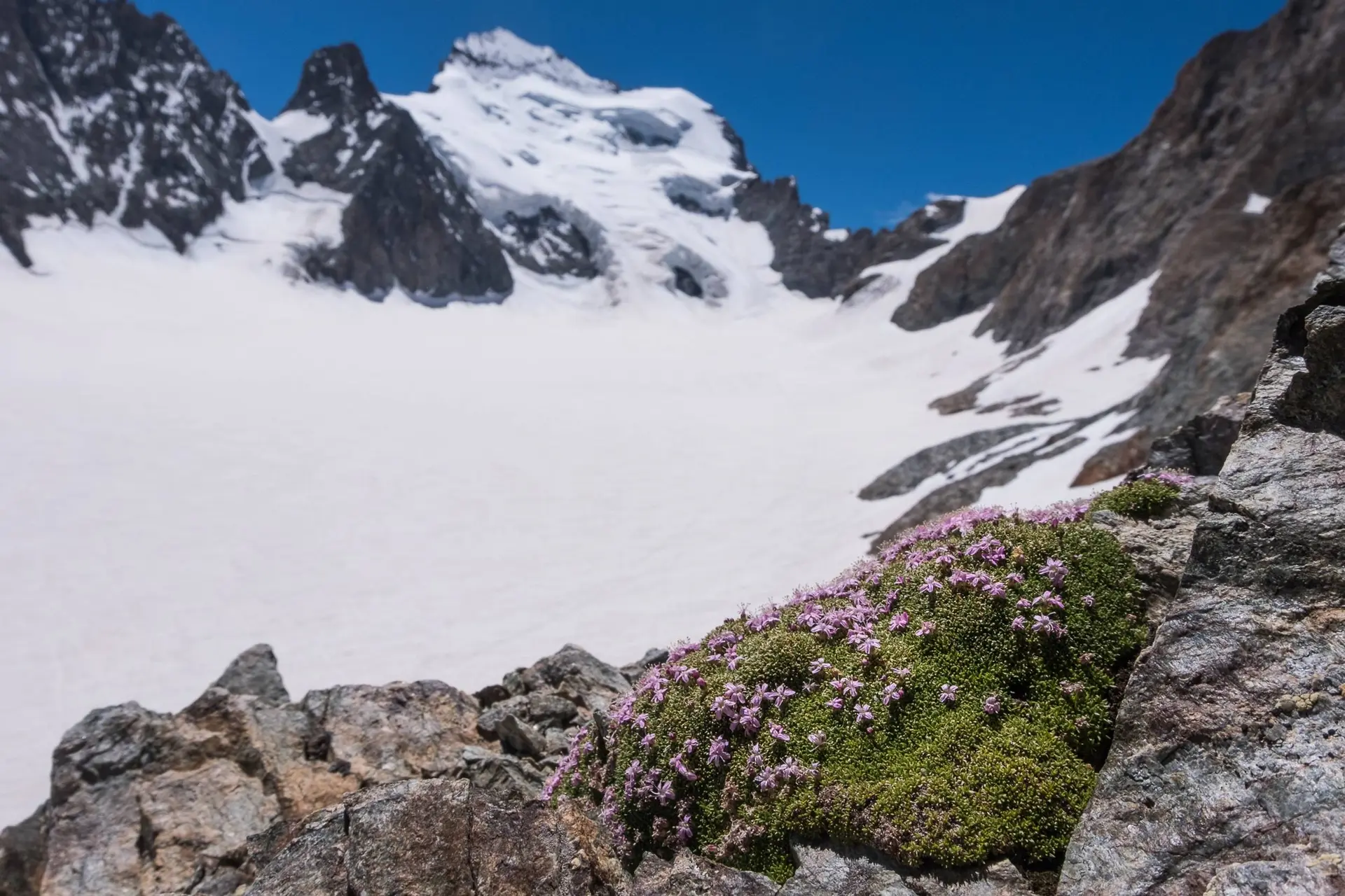 La vie en marge des glaciers