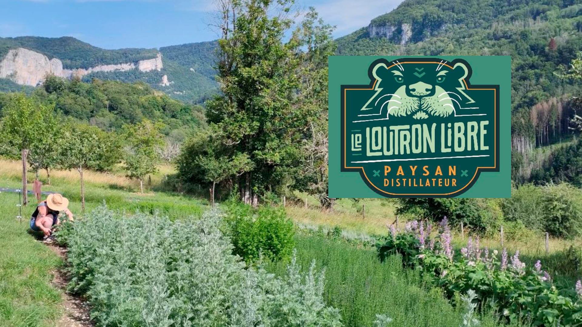 Dégustation de spiritueux Le Loutron Libre