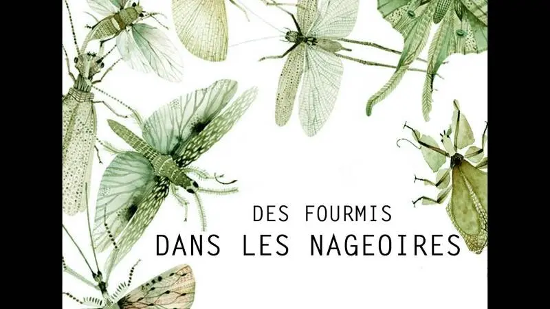 Spectacle petite enfance « Des fourmis dans les nageoires »