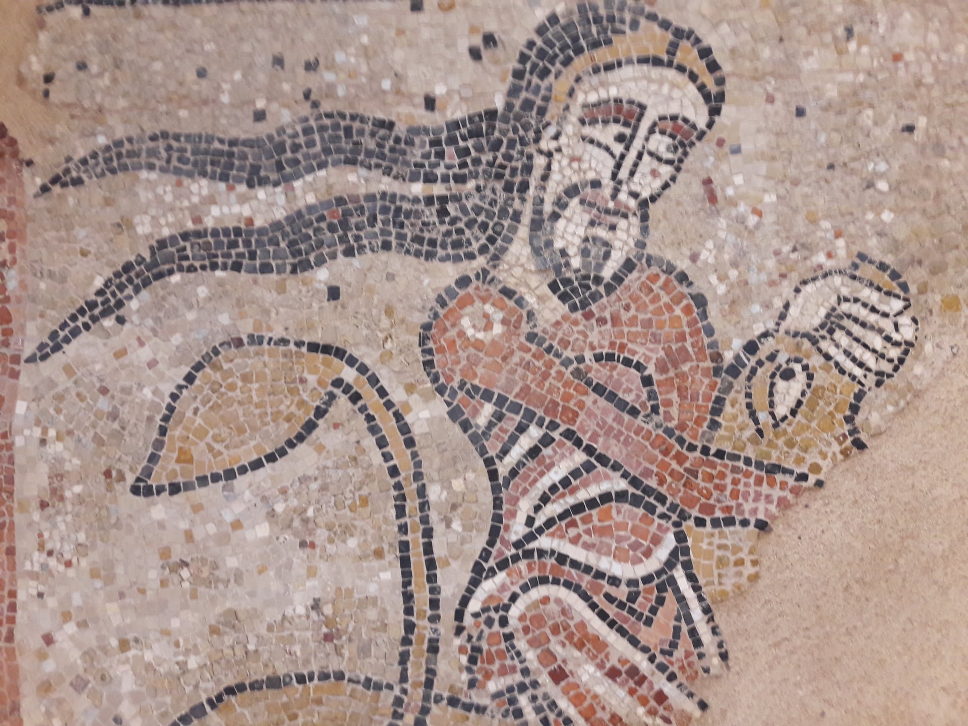 Visite guidée : Layrac et sa rarissime mosaïque romane